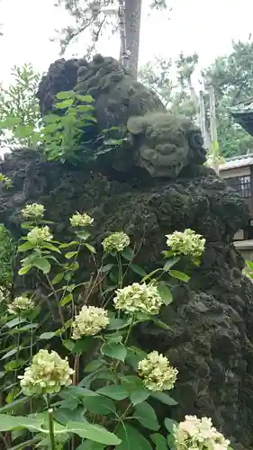 諏訪神社の狛犬