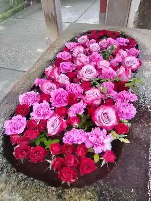 白山神社の手水舎