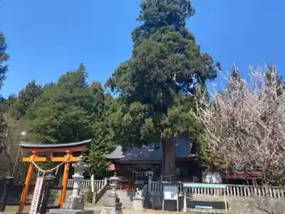 鼬幣稲荷神社のその他建物