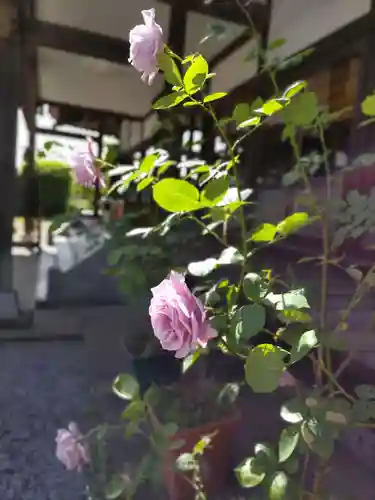 東光寺の本殿・本堂