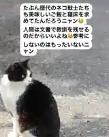 専念寺(大阪府)