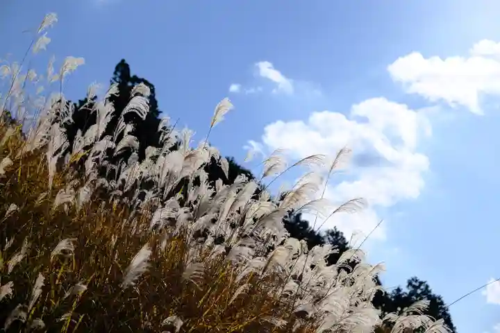 高野山金剛峯寺奥の院の景色