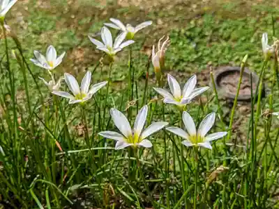 雲龍院(京都府)