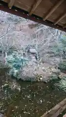 慧日寺の自然