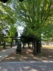 江南神社(北海道)