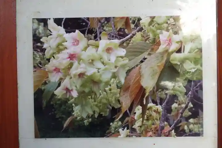 大報恩寺(千本釈迦堂)(京都府)