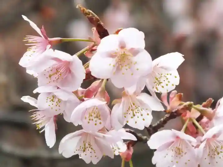 石山寺(滋賀県)