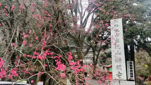 満願寺(栃木県)