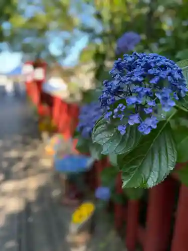 川越八幡宮(埼玉県)