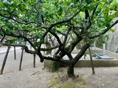 地福寺(神奈川県)