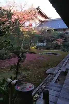 本法寺(京都府)
