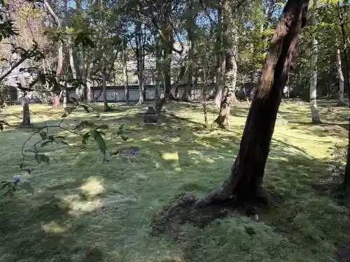 秋篠寺の{uncategorized: "未分類", other: "その他", undefined: "問題あり", building: "その他建物", grave: "お墓", sacred_gate: "鳥居", guardian: "狛犬", statue: "像", buddha: "仏像", history: "歴史", nature: "自然", garden: "庭園", animal: "動物", pagoda: "塔", temizu: "手水舎", mountain_gate: "山門・神門", sanctuary: "本殿・本堂", subordinate: "末社・摂社", art: "芸術", scenery: "景色", jizo: "地蔵", ema: "絵馬", goshuin: "御朱印", omikuji: "おみくじ", items: "授与品その他", amulet: "お守り", goshuincho: "御朱印帳", eats: "食事", festival: "お祭り", votive_dance: "神楽", shichigosan: "七五三参", wedding: "結婚式", experience: "体験その他", initially: "初詣", around: "周辺", anti_infection: "感染症対策"}