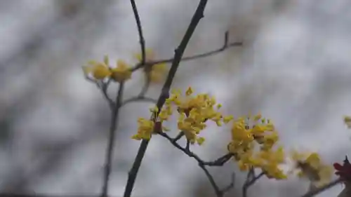 長岡天満宮(京都府)