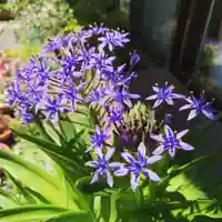 豊景神社の自然