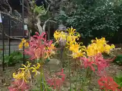 円照寺(兵庫県)