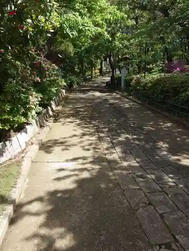 稲毛浅間神社(千葉県)