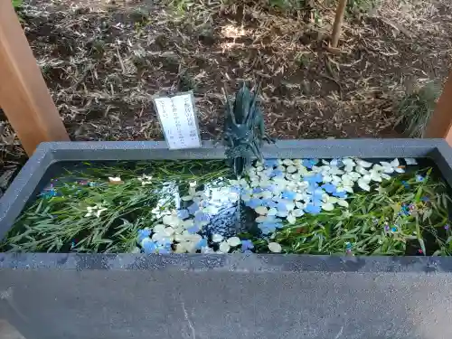 下野 星宮神社の手水舎