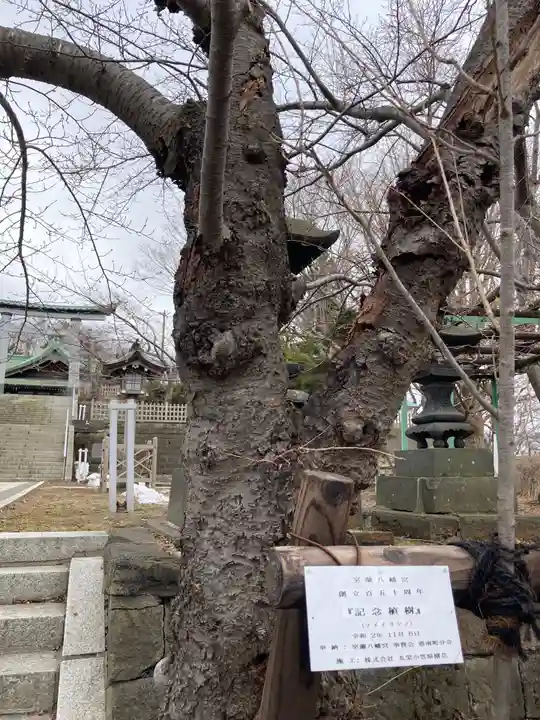 室蘭八幡宮の自然