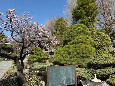 大蓮寺の{uncategorized: "未分類", other: "その他", undefined: "問題あり", building: "その他建物", grave: "お墓", sacred_gate: "鳥居", guardian: "狛犬", statue: "像", buddha: "仏像", history: "歴史", nature: "自然", garden: "庭園", animal: "動物", pagoda: "塔", temizu: "手水舎", mountain_gate: "山門・神門", sanctuary: "本殿・本堂", subordinate: "末社・摂社", art: "芸術", scenery: "景色", jizo: "地蔵", ema: "絵馬", goshuin: "御朱印", omikuji: "おみくじ", items: "授与品その他", amulet: "お守り", goshuincho: "御朱印帳", eats: "食事", festival: "お祭り", votive_dance: "神楽", shichigosan: "七五三参", wedding: "結婚式", experience: "体験その他", initially: "初詣", around: "周辺", anti_infection: "感染症対策"}