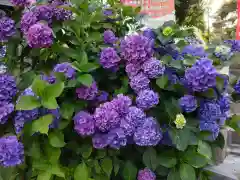 船魂神社の自然