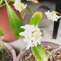 豊景神社の自然
