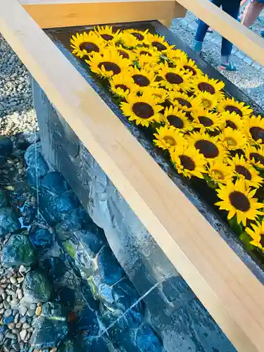 上目黒氷川神社(東京都)