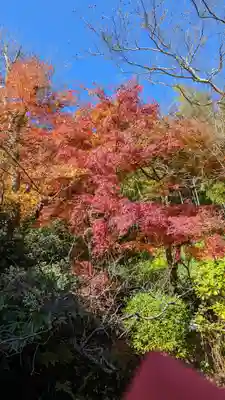長法寺(京都府)