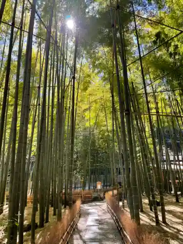 報国寺(神奈川県)