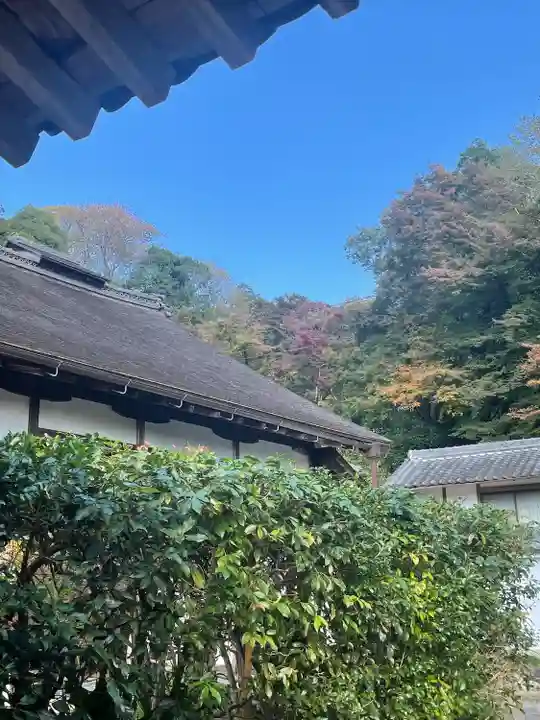 正暦寺(奈良県)