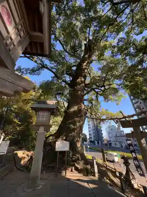 北岡神社(熊本県)