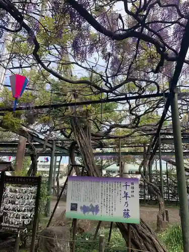 國領神社の庭園