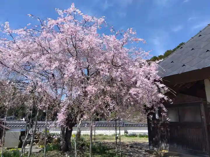 宝泉寺(京都府)