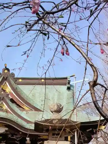 諏訪神社(東京都)