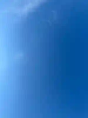 大杉神社(茨城県)