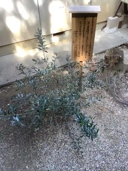 玉鉾神社の自然