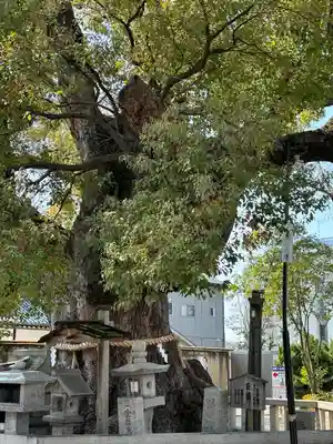 杭全神社(大阪府)