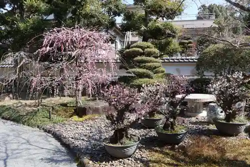 祐徳稲荷神社(佐賀県)