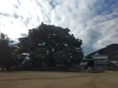 善通寺(香川県)