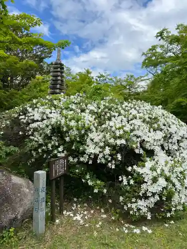 普門院（文知摺観音）(福島県)