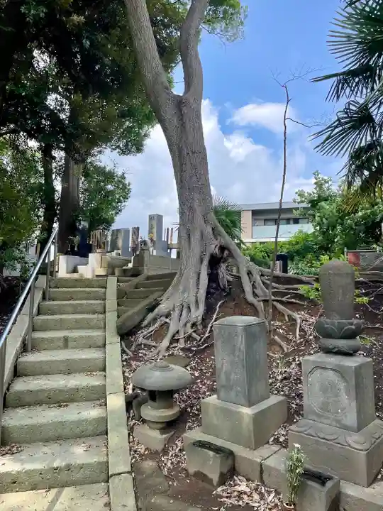 清源院(神奈川県)