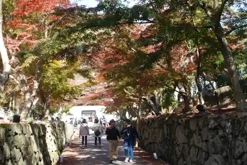 興聖寺（興聖寶林禅寺）の景色