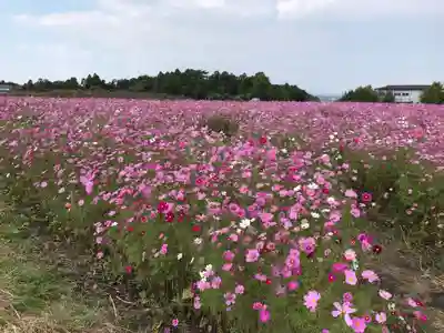 八幡神社の自然