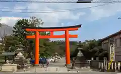 吉田神社の鳥居