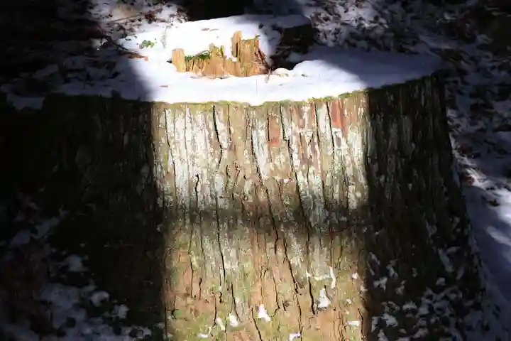 鹿島大神宮の自然