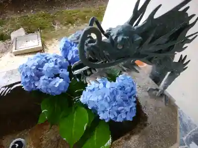 高月院の手水舎