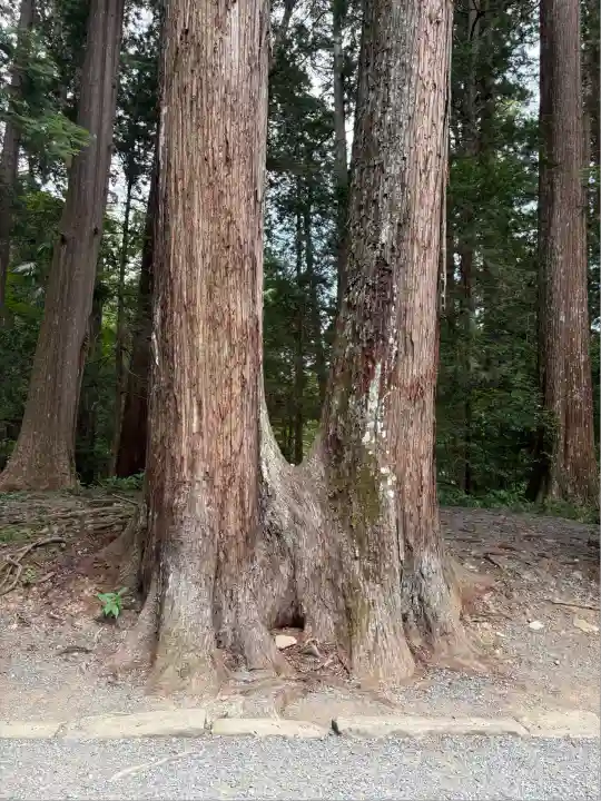 小國神社(静岡県)