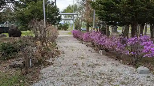 草分神社の庭園