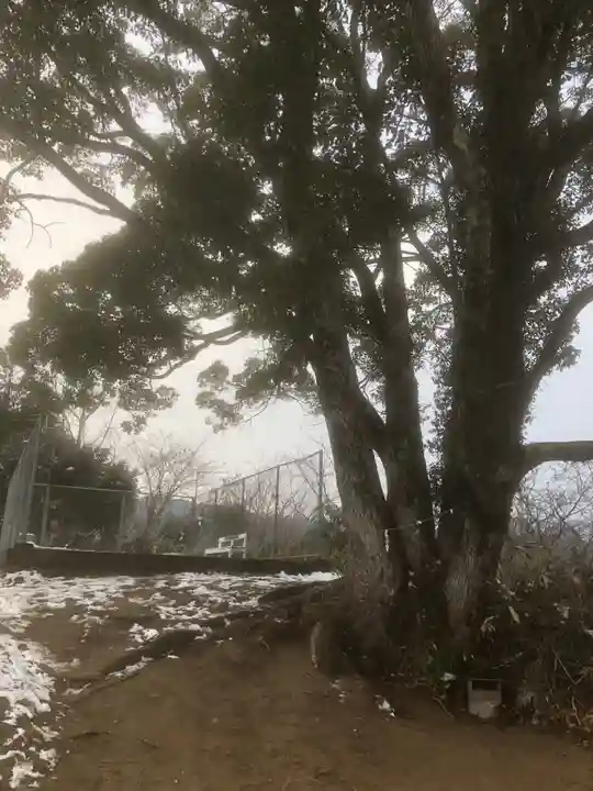 サムハラ神社 奥の宮の自然