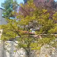 彌彦神社 (伊夜日子神社)の自然