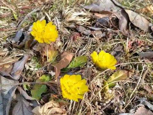 三春大神宮(福島県)